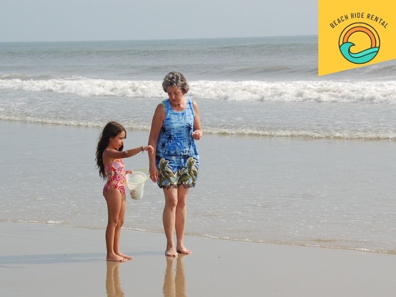 Beachcomber searching for shells along the Gulf Coast shoreline