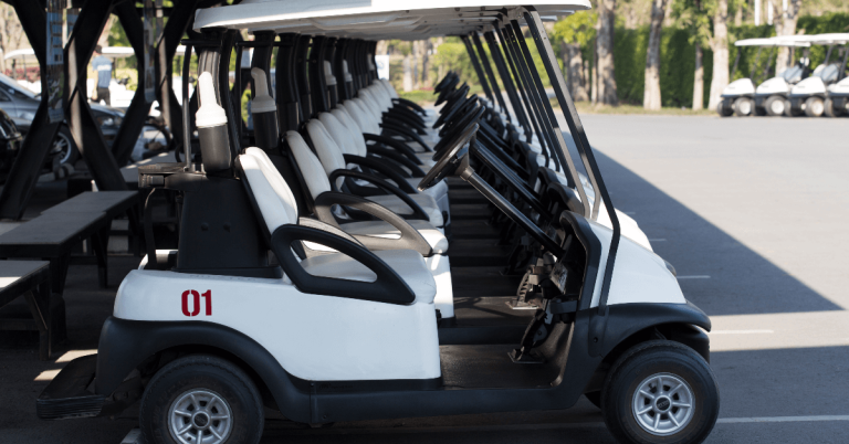best-golf-cart-rental-in-the-tampa-bay-area-for-snowbirds
