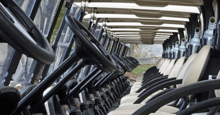 Best Golf Cart Rentals In The Tampa Bay Area