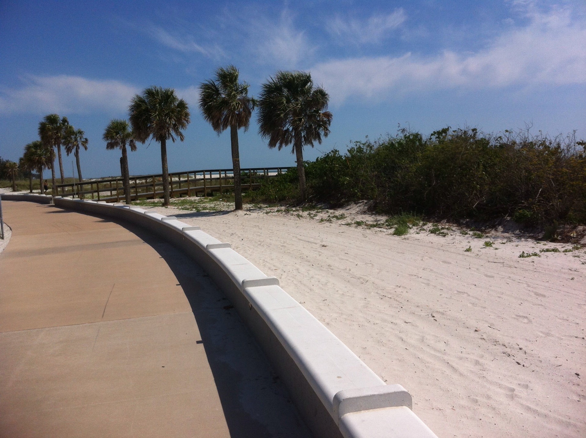 Treasure Island Beach Trail-min (1) Curved beachfront path lined with palm trees, leading to sandy shore and ocean views, ideal for exploring Treasure Island with a golf cart rental.
