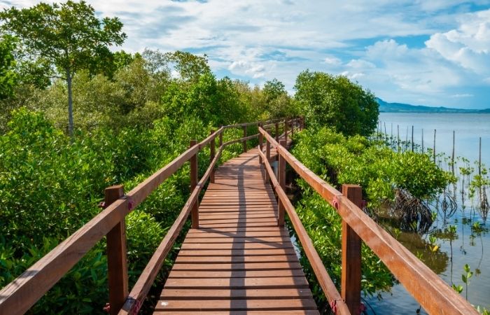 Picnic Tour with Golf Cart in Clearwater Picnic Tour with Golf Cart in Clearwater