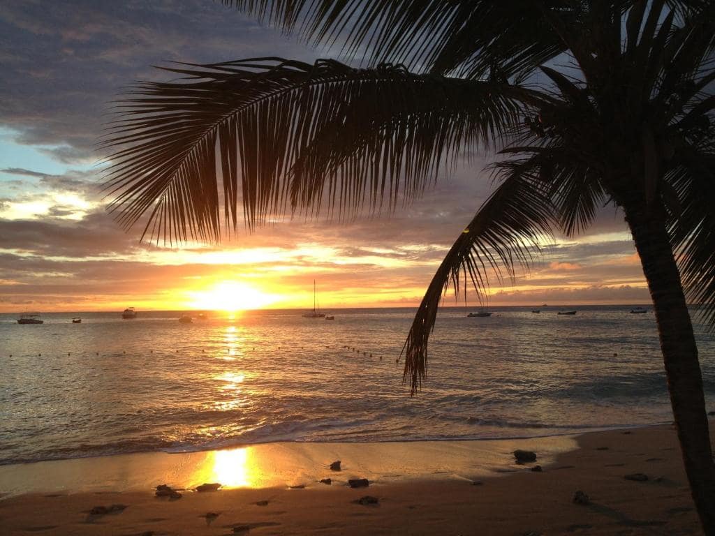 Sunset Tour in Clearwater by golf cart Sunset Tour in Clearwater by golf cart